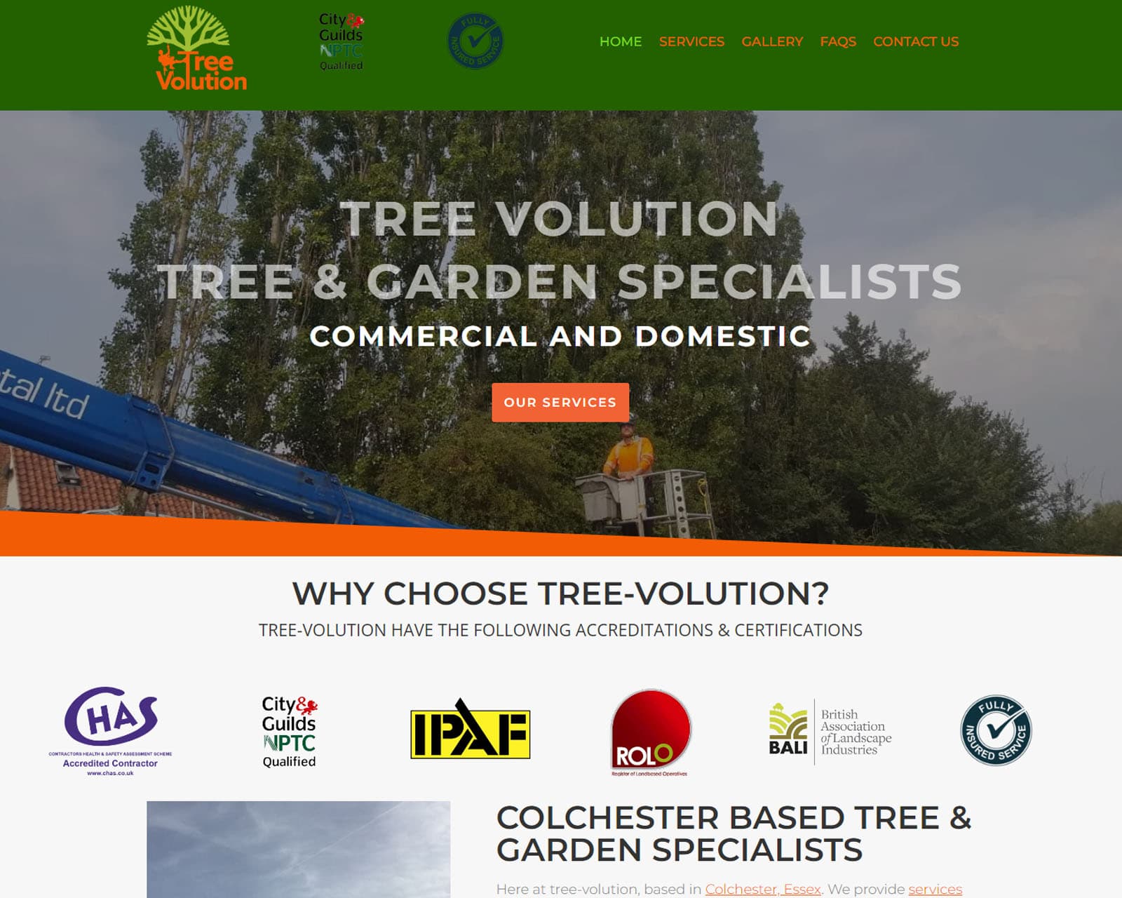 Screenshot of the Tree Volution website
